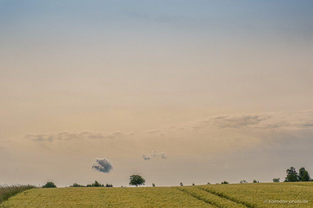 Landschaft, Baum und Wolke