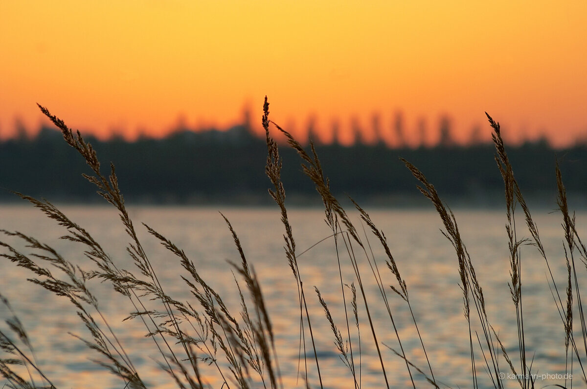 Herbstlicher Sonnenaufgang über einem See mit Silhouetten von Gräsern