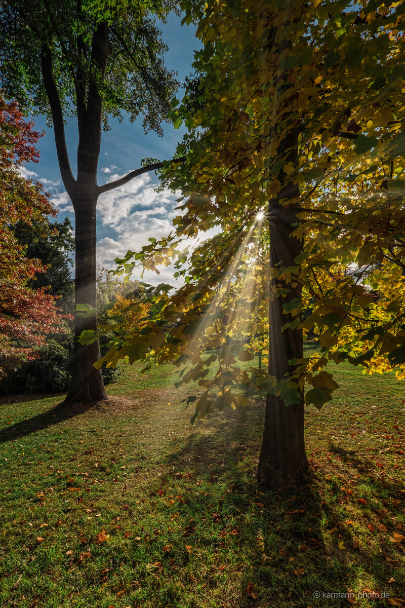 Herbstliche Landschaft mit Sonnenstrahlen durch bunte Blätter